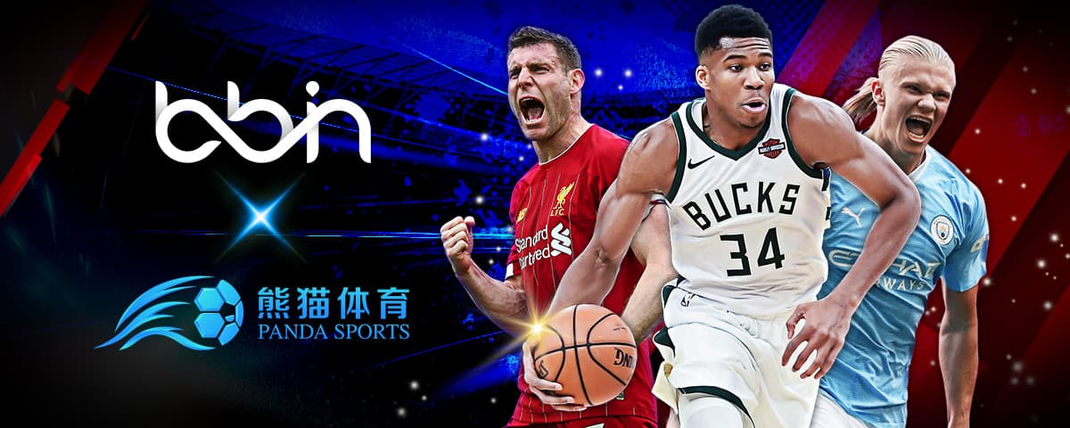 比门迪的信
